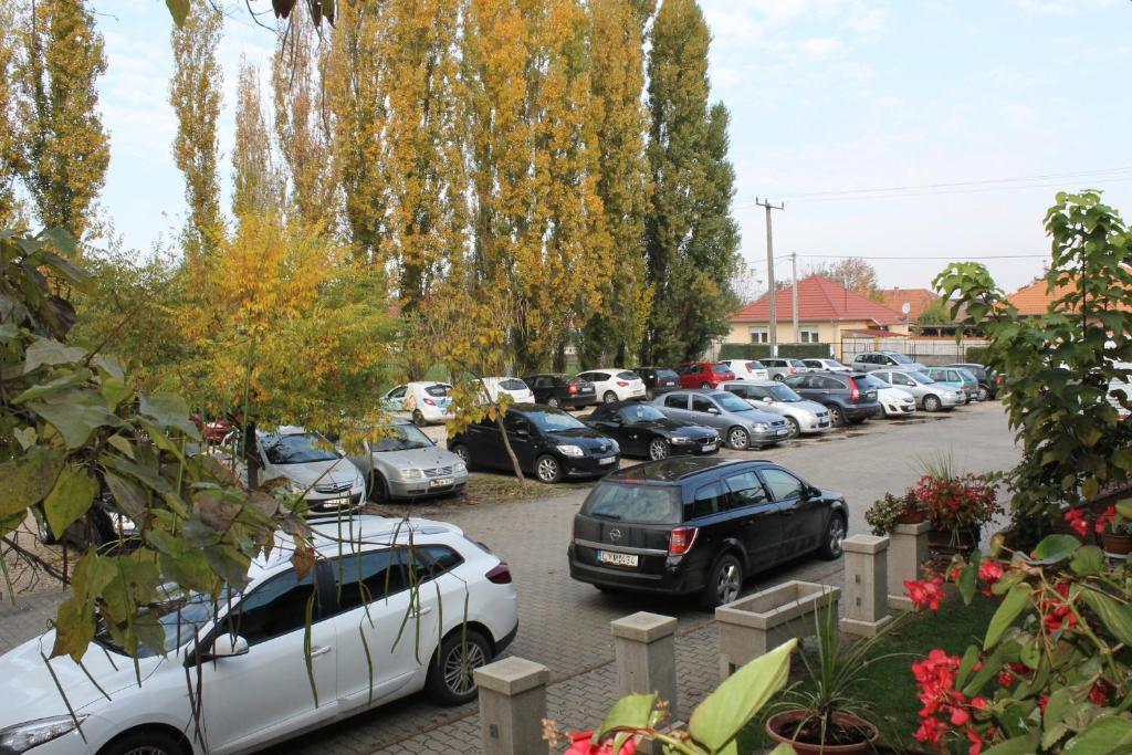 مبيت وإفطار Kecskemét Bajor Panzio المظهر الخارجي الصورة